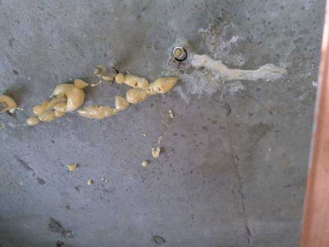 高壓灌漿堵漏